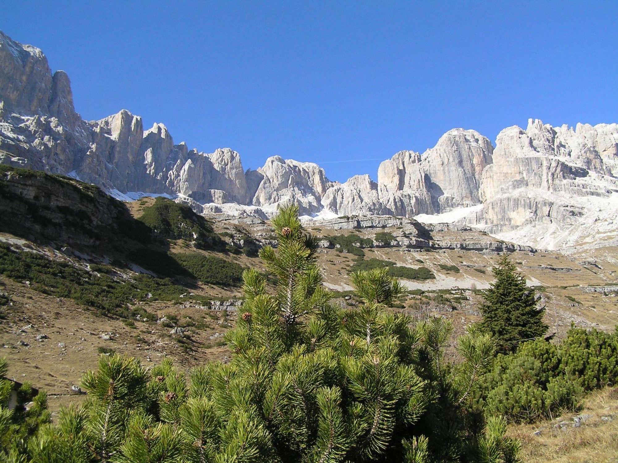 Garni Lago Nembia San Lorenzo Dorsino Exterior foto